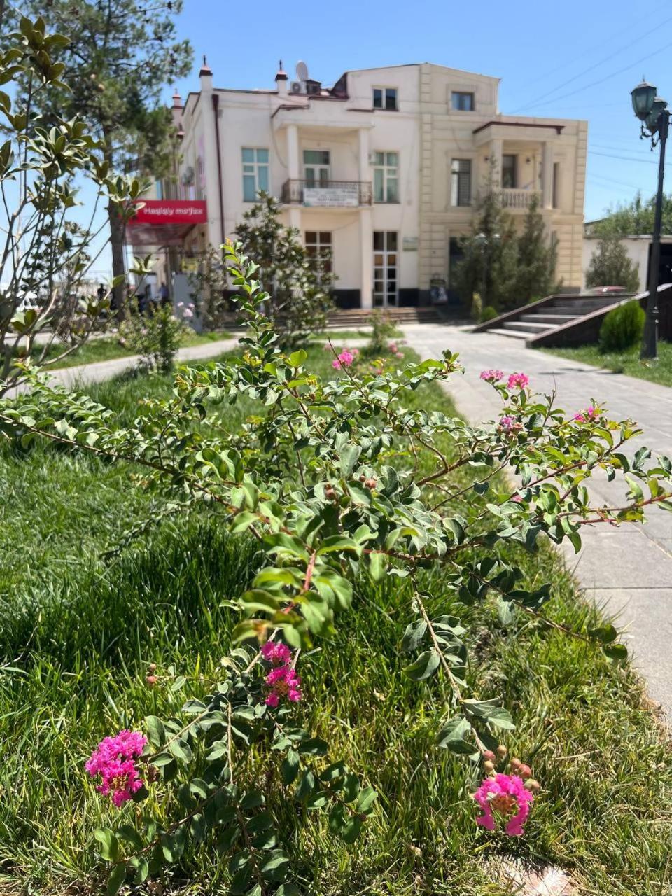 Hotel Zara Nur Aleksandriya Samarkand Exteriör bild